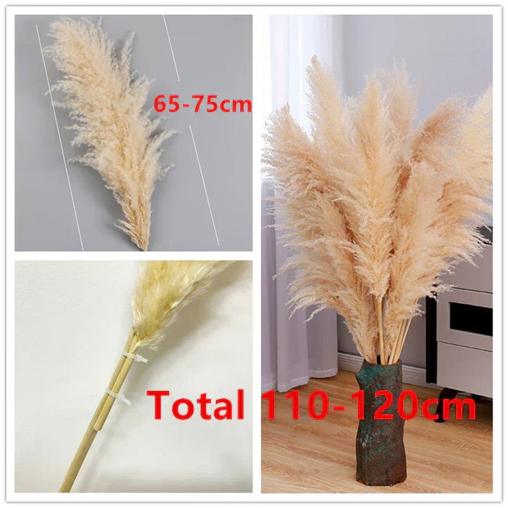 Boho Dried Pampas Grass for Home Decor