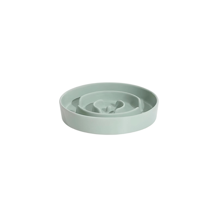Elegant Handmade Food Bowl for Pets