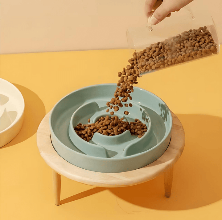 Elegant Handmade Food Bowl for Pets