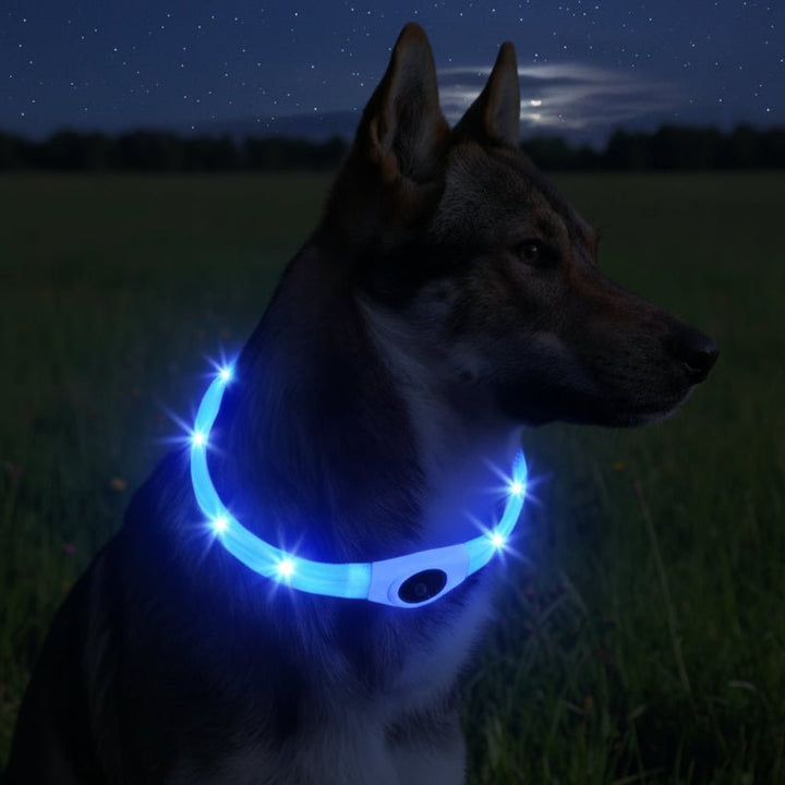 LED Dog Collar for Safe Night Walks