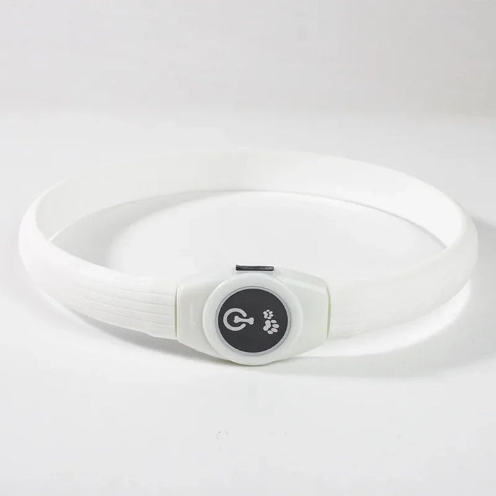 LED Dog Collar for Safe Night Walks