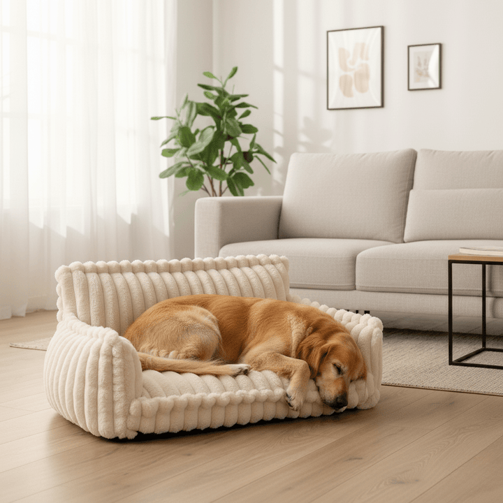 Soft & Washable Orthopedic Dog Sofa for Pets
