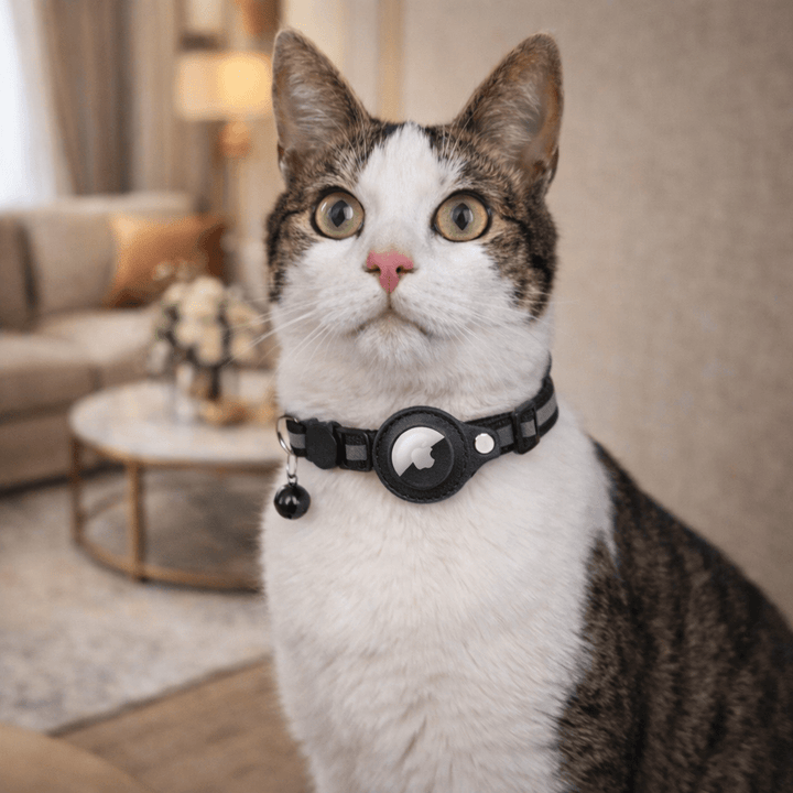 GPS Tracker Collar for Cat Safety and Visibility