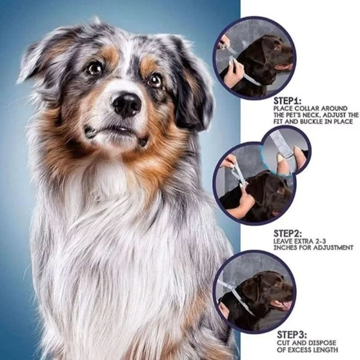 Anti-Tick and Flea Collar