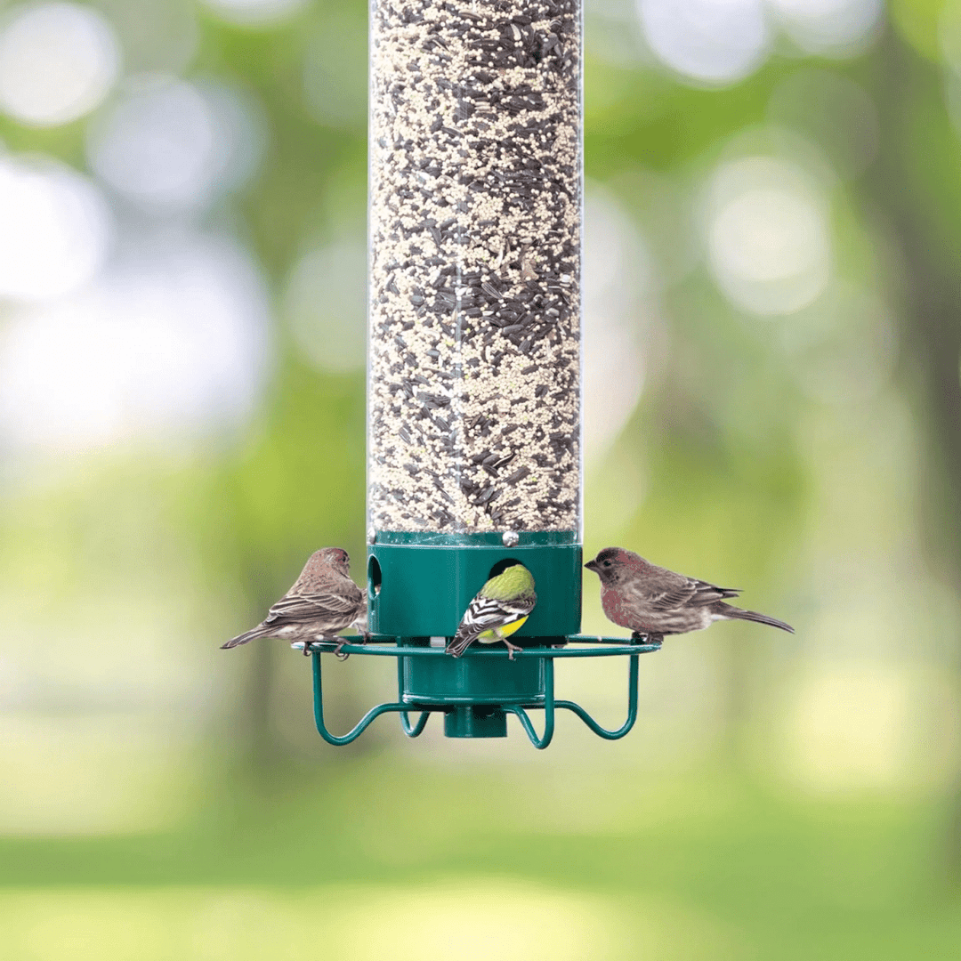 Squirrel-Proof Birdhouse with Rotating Perch and 4 Feeding Openings