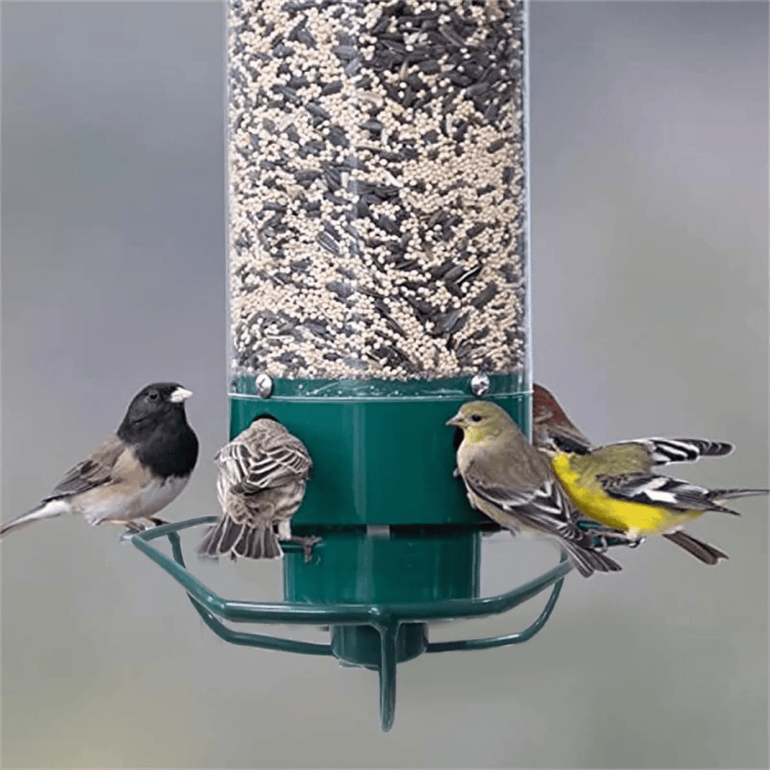 Squirrel-Proof Birdhouse with Rotating Perch and 4 Feeding Openings