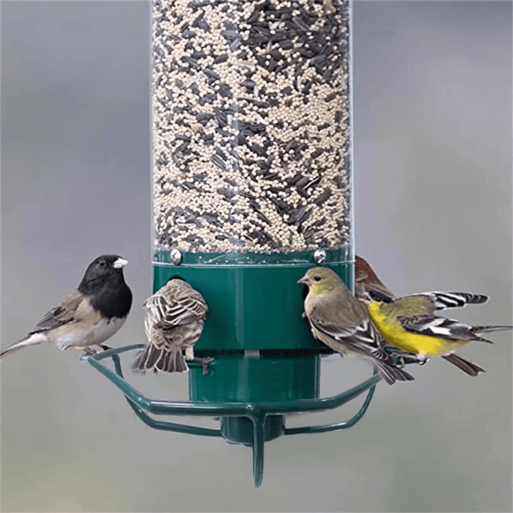 Squirrel-Proof Birdhouse with Rotating Perch and 4 Feeding Openings