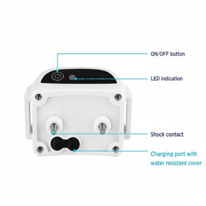 Wireless Dog Fence with Training Mode for Safe Outdoor Freedom