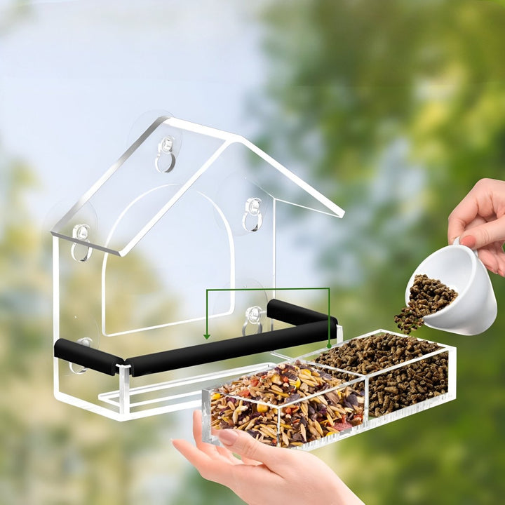 Acrylic Window Bird Feeder with Strong Suction Cups for Close Observation