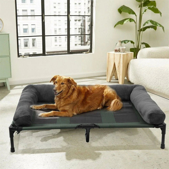 Elevated Dog Bed for Garden & Outdoor Use