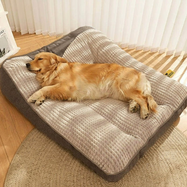 Large Scratch-Resistant Dog Bed with Orthopedic Spine Support