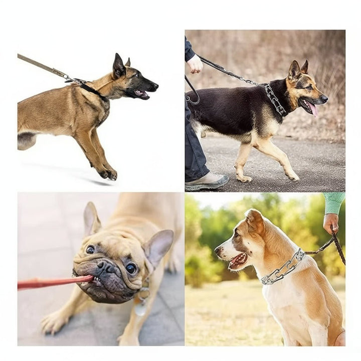 Dog Training Prong Collar with Durable Steel and Soft Nylon Protection