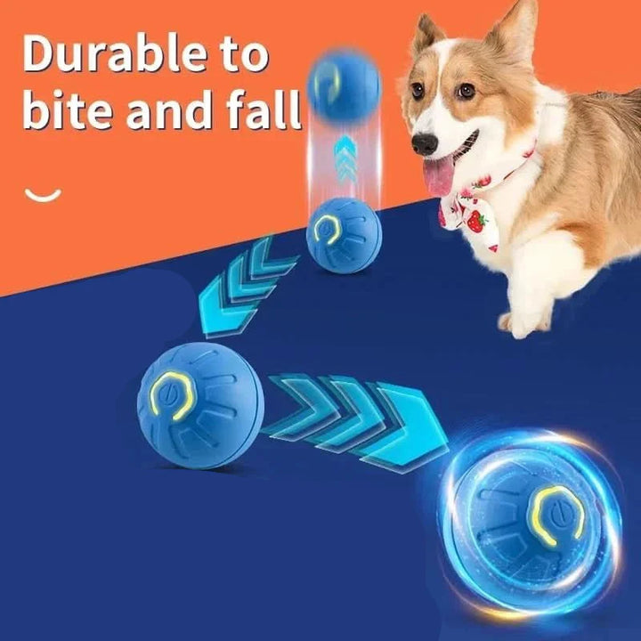Interactive Rechargeable Bouncing Dog Ball