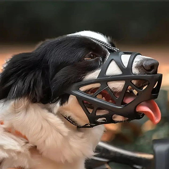 Gentle Dog Muzzle for Safe Everyday Situations