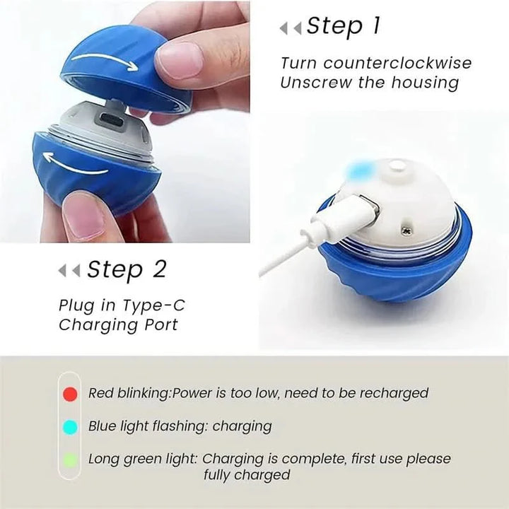 Interactive Rechargeable Bouncing Dog Ball