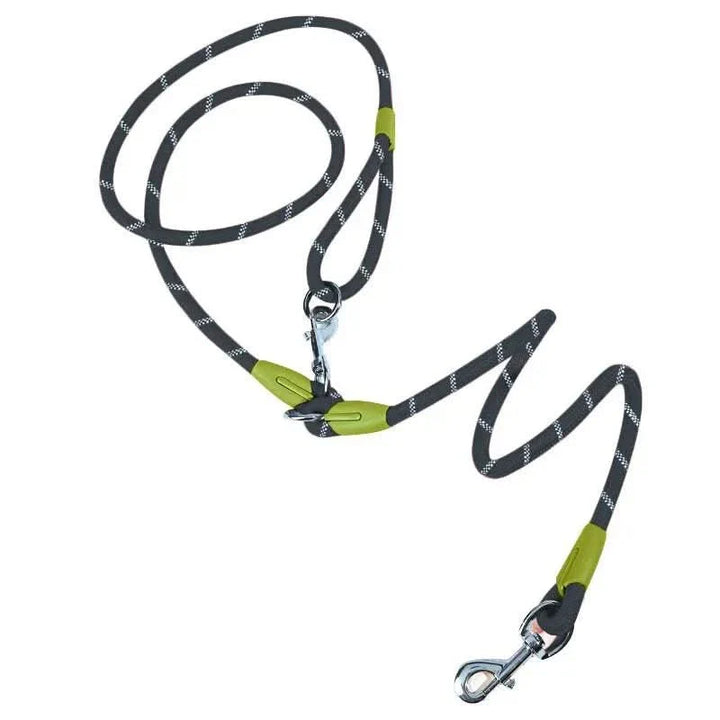 Hands-Free Leash for Jogging, Walking, and Unrestricted Movement