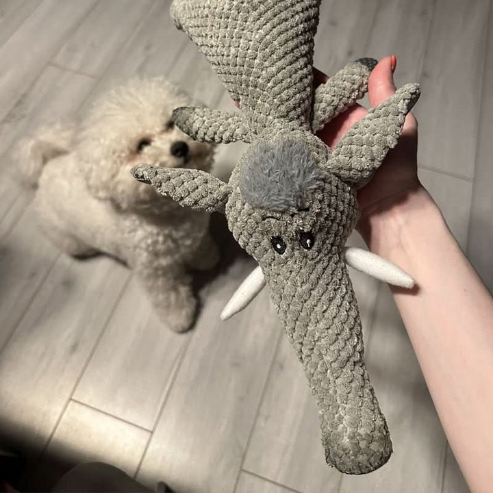 Durable Chew Toy for Small and Large Dogs