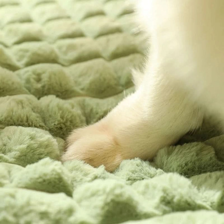 Washable Soft Dog Bed
