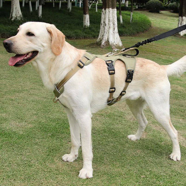Comfortable Anti-Pull Dog Harness with Enhanced Grip and Safety Features