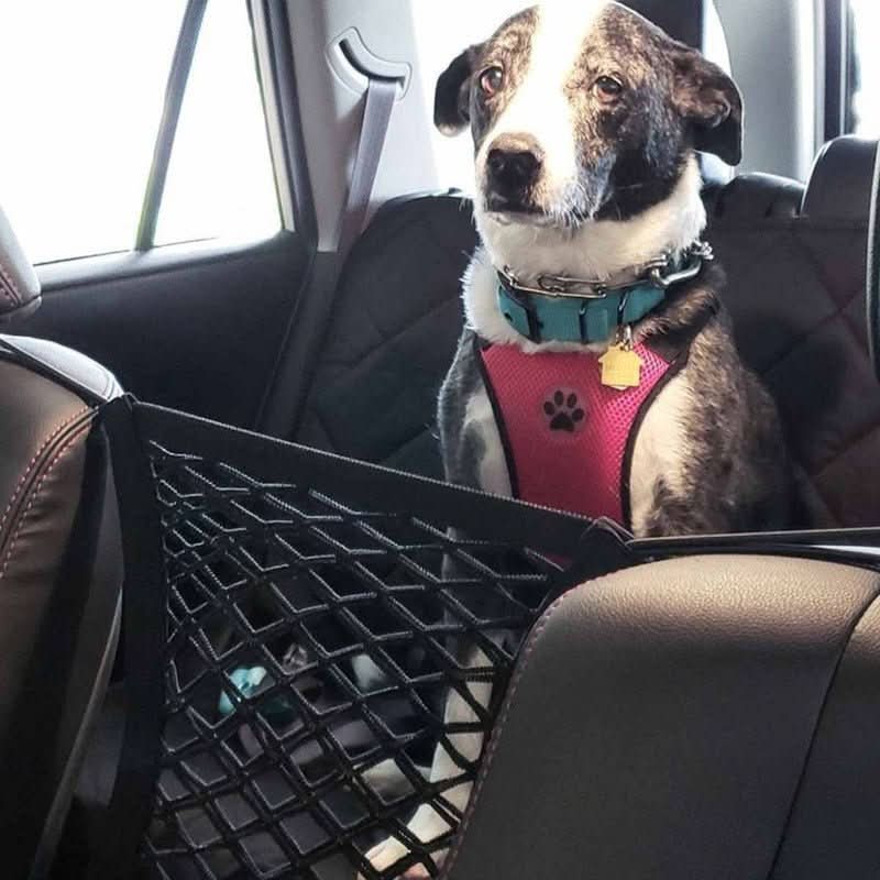 Car Safety Net for Dogs with Convenient Storage Solution