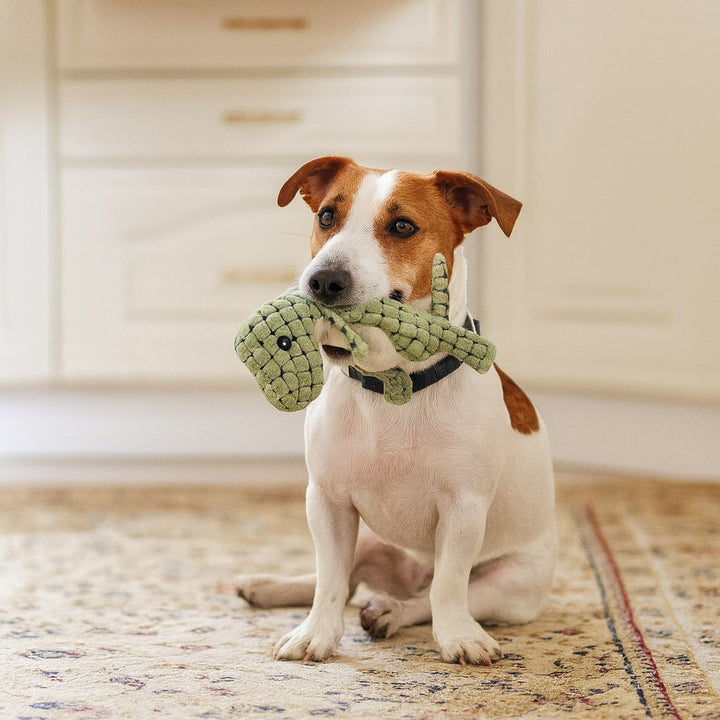 Indestructible Dog Chew Toy